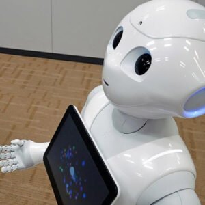Domestic Robot