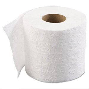 Toilet Paper for Everyday Hygiene