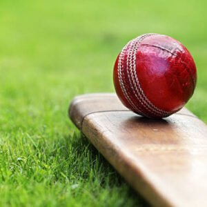 Cricket