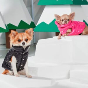 Dog Clothes
