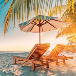 Summer Products for Everyday Comfort in India